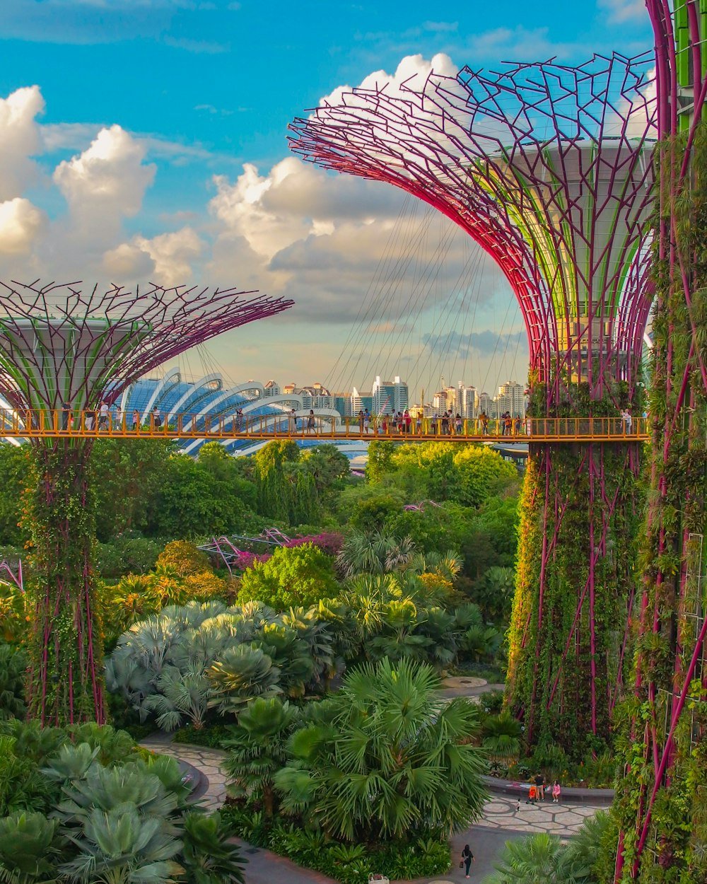 Supertree Grove at Gardens by the Bay, Singapore